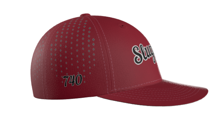 3D Embroidery Snapback Hat